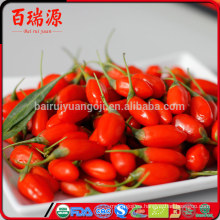 Venta al por mayor 2016 Ningxia Goji berry sin SO2